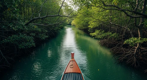 Can Gio Mangroves: Monkey Island and Mudskippers