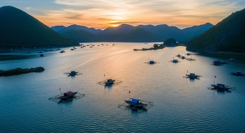 O Loan Lagoon: The Blood Cockle Capital of Vietnam