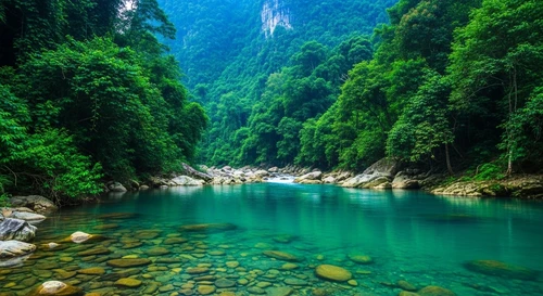 Pac Bo Cave: The Secret Jungle Base of Ho Chi Minh