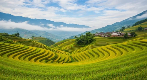 Sapa Beyond the Town: Trekking, Homestays, and Salmon Hotpot